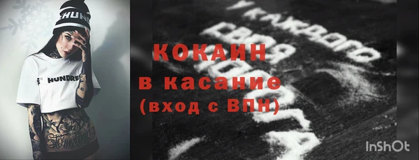 амф Богданович