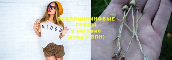 амф Богданович