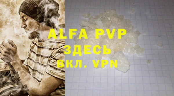 амф Богданович