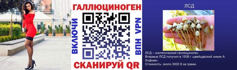 Псилоцибиновые грибы прущие грибы  нарко площадка какой сайт  Дмитровск  магазин  наркотиков 